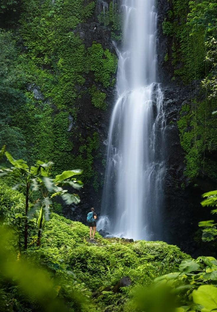 Airport transfer to Munduk, Bali